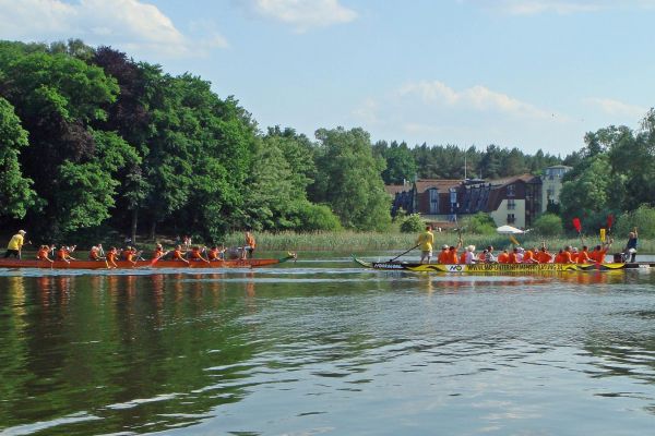 Drachenbootrennen auf dem Beetzer See