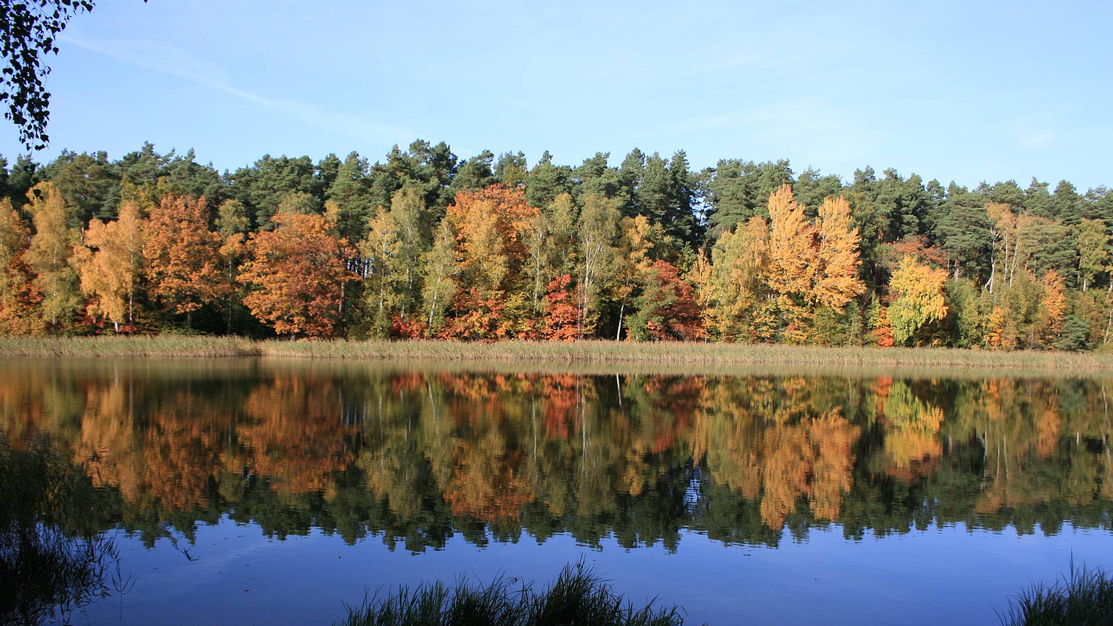 Wellness brandenburg single